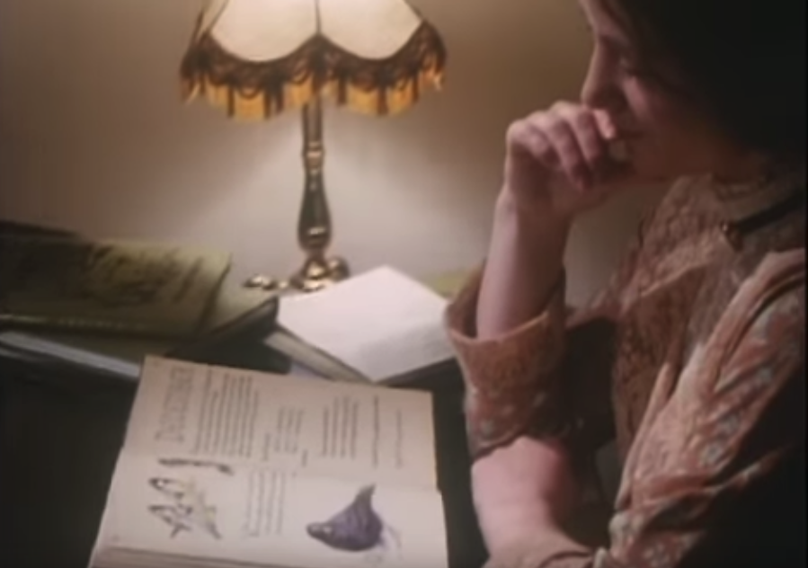 Questa immagine ha l'attributo alt vuoto; il nome del file è Edith-Holden-serie-tv.png